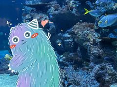 -新加坡海洋生态馆