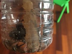 -南通博物苑-崇川人民公园