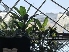 -郑州大剧院