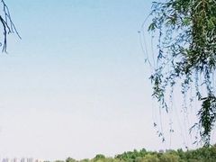 -南湖国家城市湿地公园
