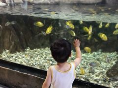 -西安曲江海洋极地公园
