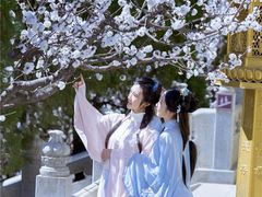 -龙口南山旅游景区