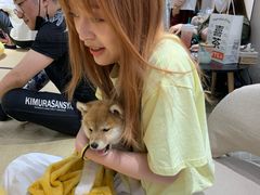 -逗柴咖啡屋·狗咖猫咖宠物桌游
