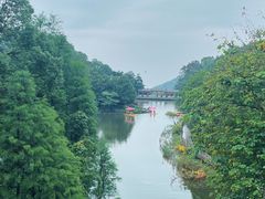 -广州市帽峰山景区