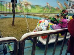 -泉州海丝野生动物世界