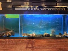 -西村日本料理(香格里拉饭店)