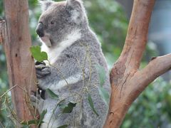 -费瑟代尔野生动物园