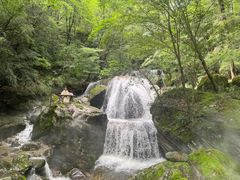 -牛背梁国家森林公园