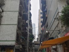 -鸿顺老铁锅美蛙鱼府(解放碑店)