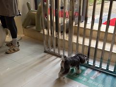 -奈斯宠物医院·核磁CT·异宠专科·内镜(中南店)