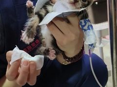 -哆趣宠物医院·眼科·内镜·急重症转诊中心(上海店)
