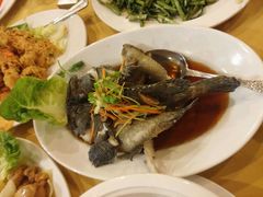 清蒸老虎斑-真浪花园海鲜餐馆