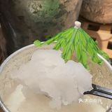 袋装奶茶咖啡,解锁东南亚的美味🏖️