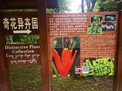 -中国科学院西双版纳热带植物园