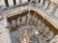 -天芳悦潭度假村温泉