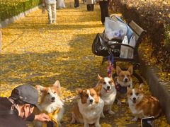 -水仙拉面(水仙街店)