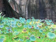 -广州莲花山旅游区