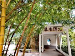 -晓港公园