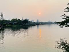 -海珠湖公园