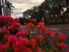 -亚龙湾中心广场