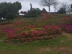 -东莞植物园