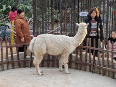 -北戴河集发农业梦想王国
