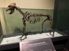 -大庆市博物馆