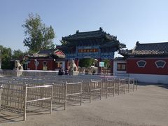 -曹州牡丹园
