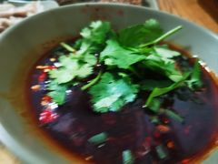 -汝萍传统蘸水菜(春华路总店)