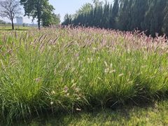 -汉长安城未央宫国家考古遗址公园