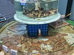 -大锅强·蒸海鲜青岛菜(吾悦广场店)