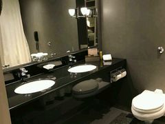 -新加坡乌节希尔顿酒店 (SG Clean)