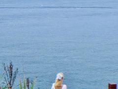 -枸杞岛