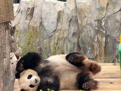 -青藏高原野生动物园