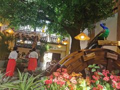 -大理董·董家小厨野生菌火锅(古城旗舰店)