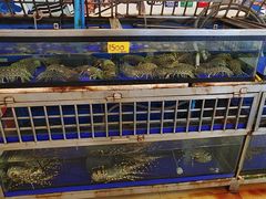-两兄弟Song Pee Nong(2号店)