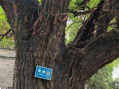 -洛阳周公庙博物馆