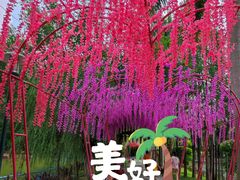 -揭东万竹园旅游景区