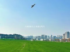 -白鹭湾湿地公园