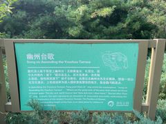 -大兴滨河森林公园