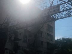 -溪岸路花鸟市场