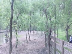 -溱湖国家湿地公园