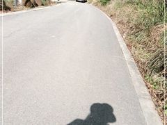 -四明山国家森林公园