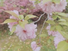 -新洲生态园