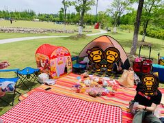 -上海长兴岛郊野公园