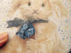 -珍妮曲奇聪明小熊(尖沙咀店)
