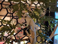 -海底捞火锅(万象城店)