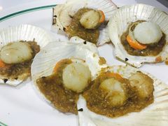 -T&K 海鲜