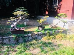 -团城山公园