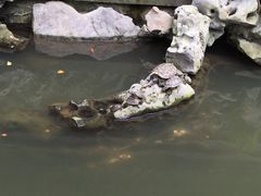 -普陀山风景名胜区-法雨禅寺